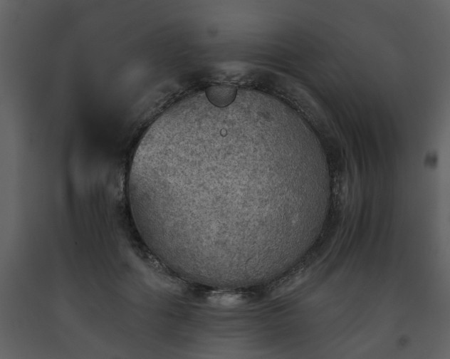 X0000093440602200710191043