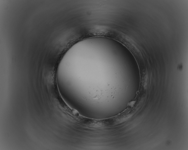 X0000093440604200710191043
