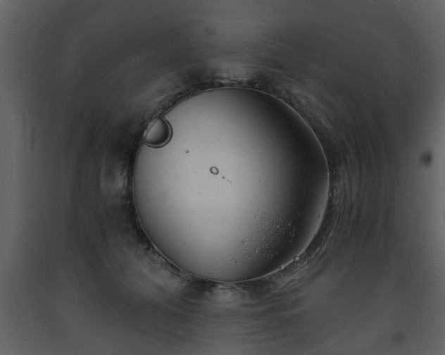 X0000093440608200710191042