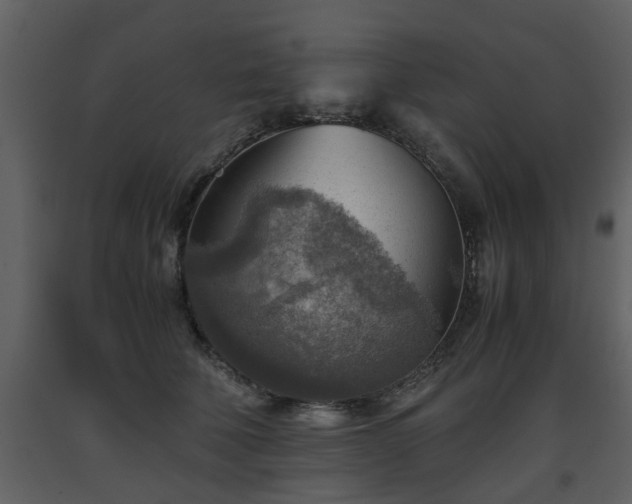 X0000093440610200710191042