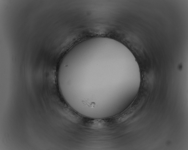 X0000093440612200710191042