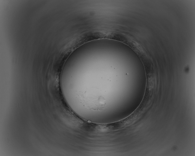 X0000093440613200710191042