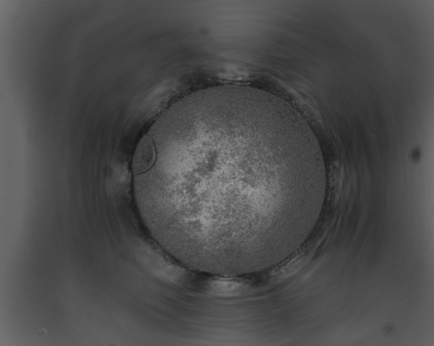 X0000093440614200710191042
