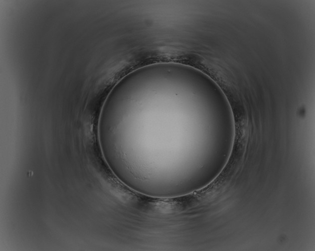 X0000093440615200710191042