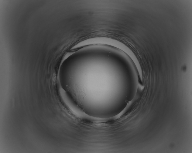 X0000093440617200710191042