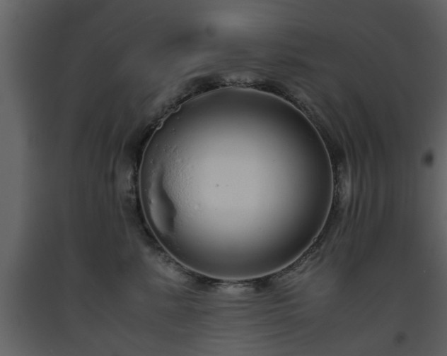 X0000093440619200710191042