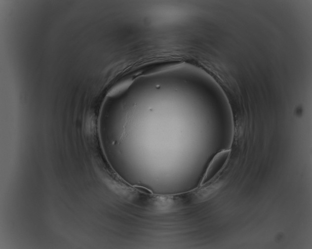 X0000093440623200710191042