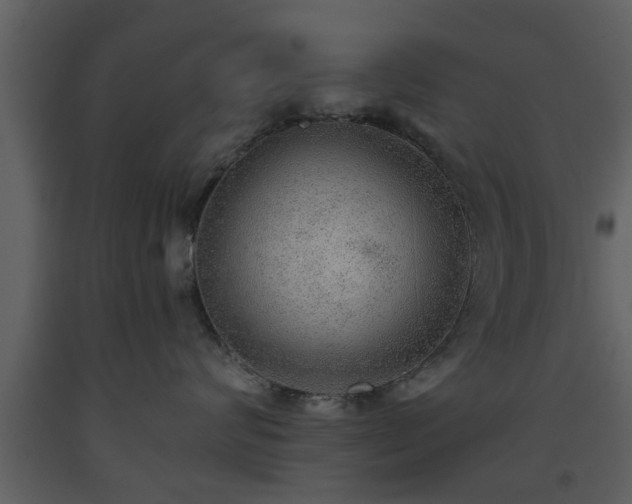 X0000093440624200710191042
