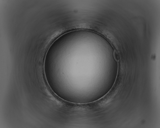 X0000093440625200710191041