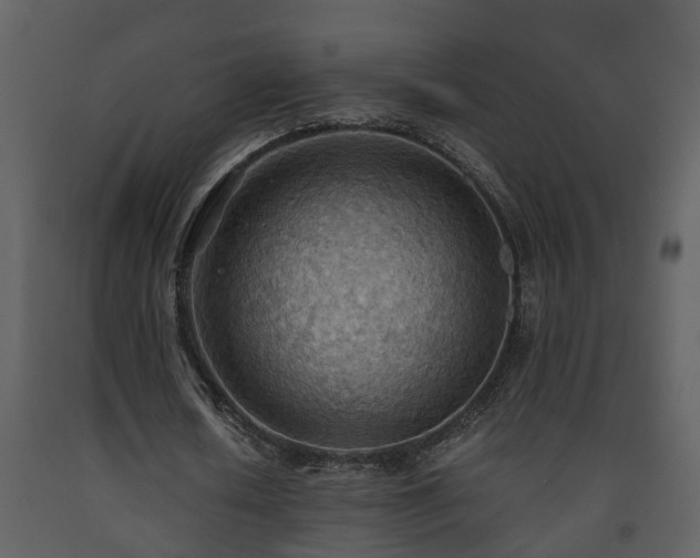 X0000093440626200710191042