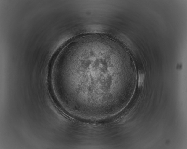 X0000093440627200710191042