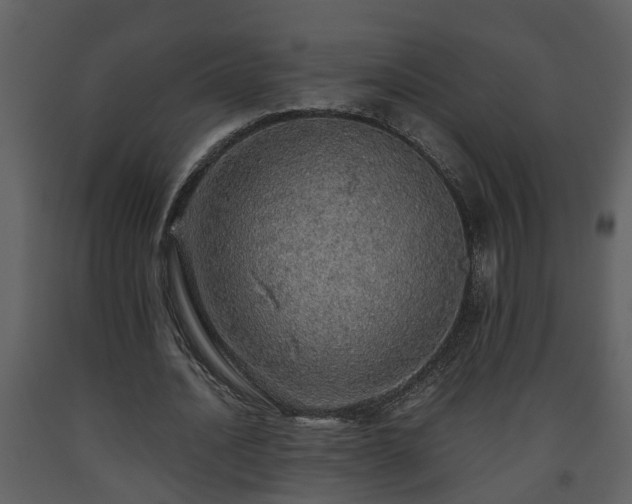 X0000093440628200710191042