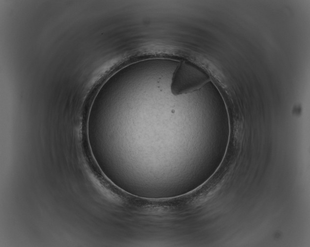 X0000093440629200710191042