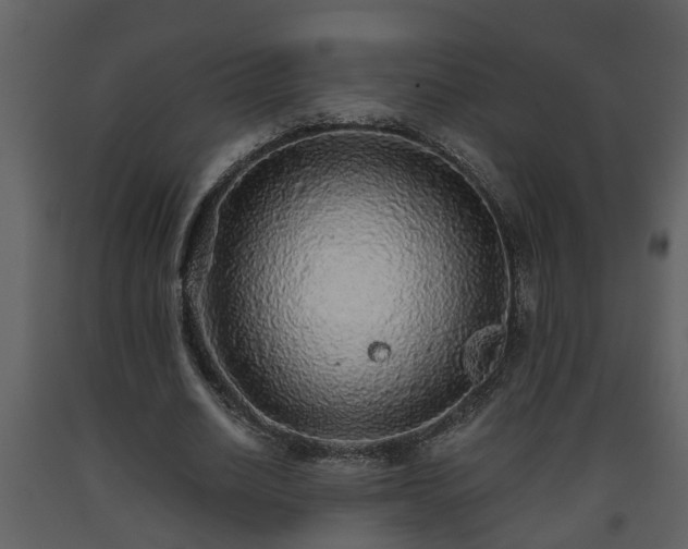 X0000093440630200710191042