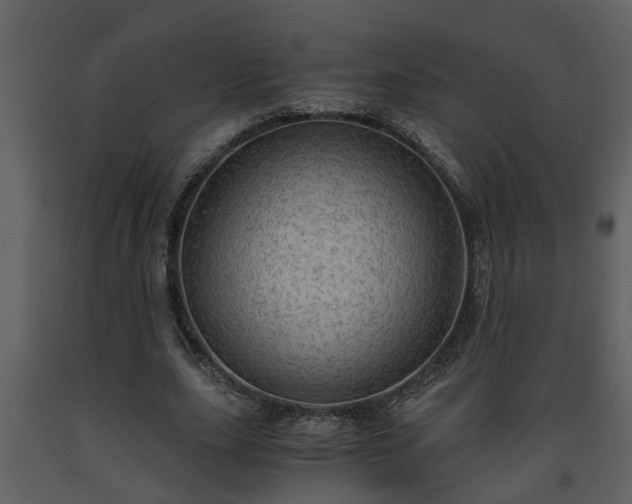 X0000093440631200710191042