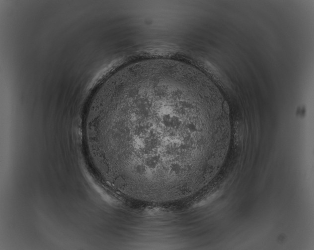 X0000093440634200710191042