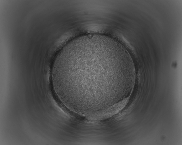 X0000093440637200710191042