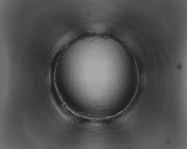 X0000093440638200710191042