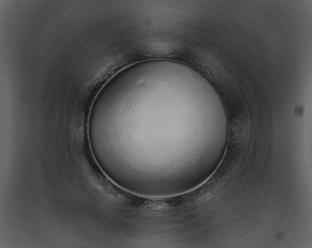 X0000093440642200710191042
