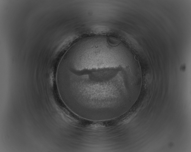 X0000093440644200710191042