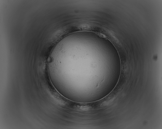 X0000093440645200710191042