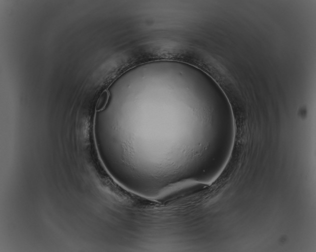 X0000093440646200710191042