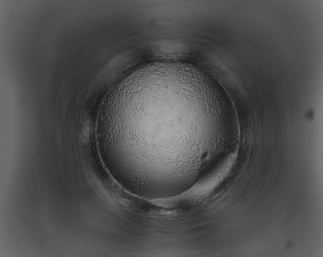 X0000093440647200710191042