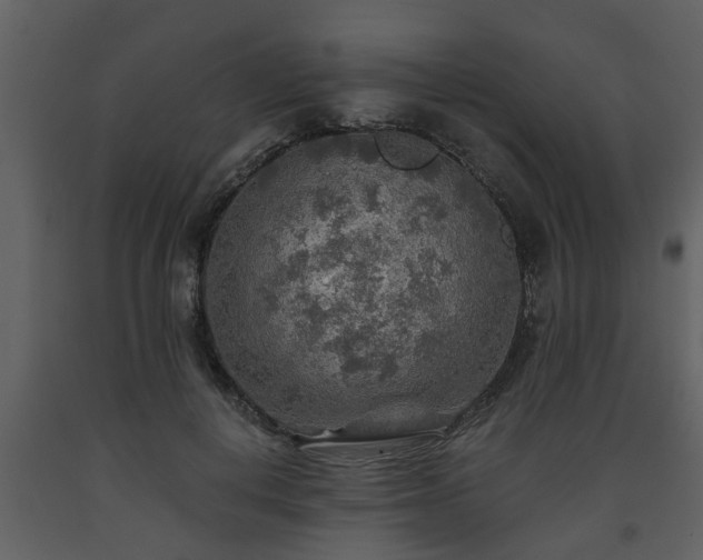 X0000093440648200710191042