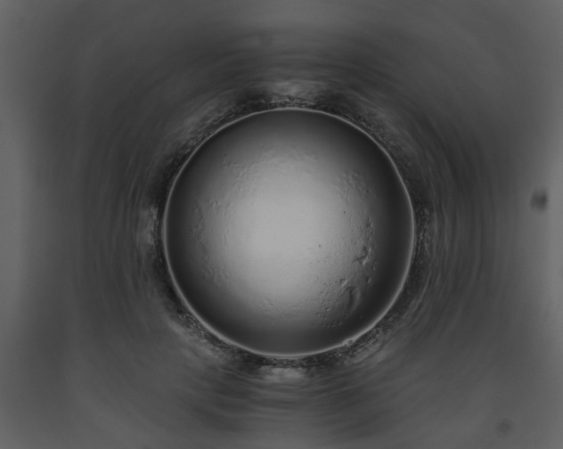 X0000093440649200710191042
