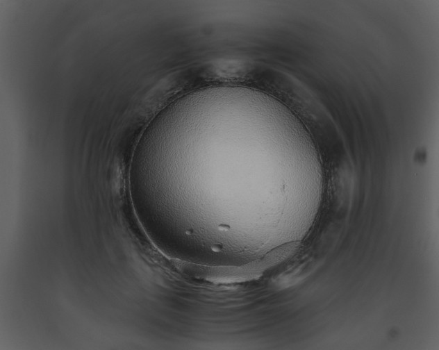 X0000093440651200710191042