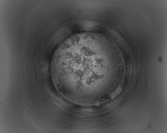 X0000093440653200710191042