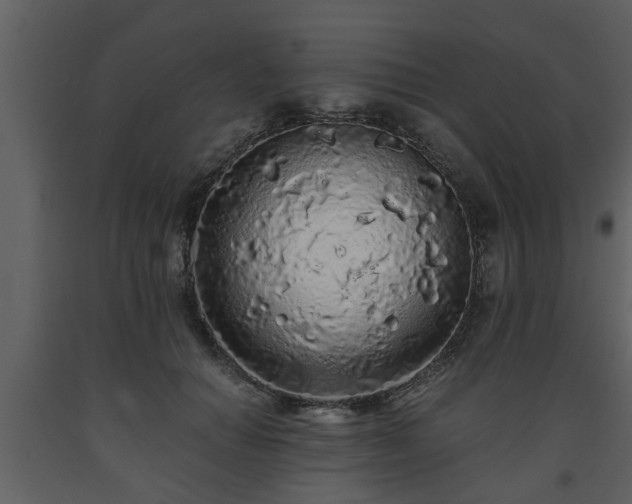 X0000093440654200710191042