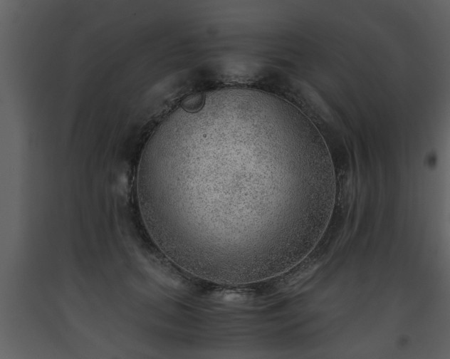 X0000093440655200710191042