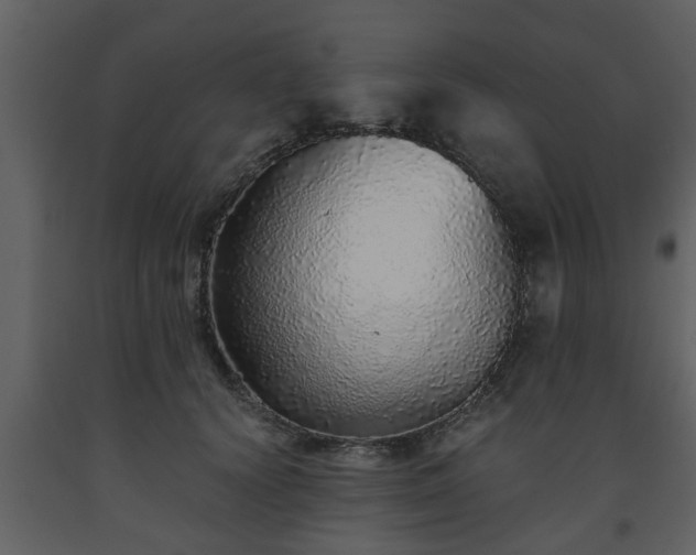 X0000093440656200710191042