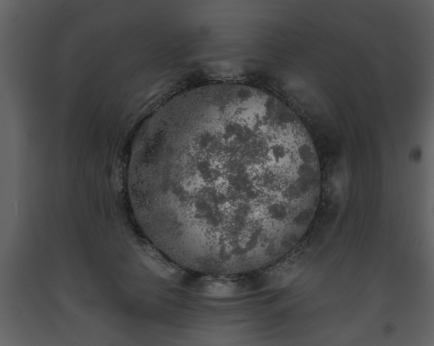 X0000093440658200710191042