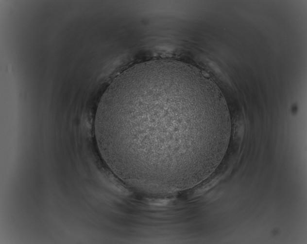 X0000093440661200710191042