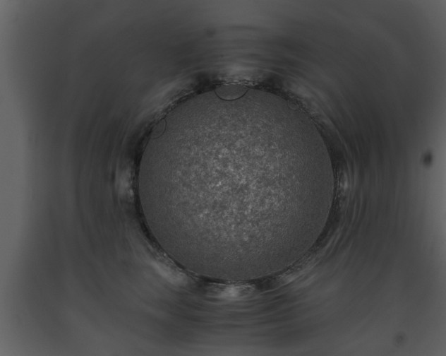 X0000093440663200710191042