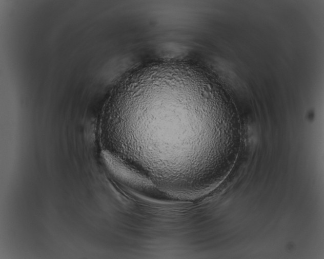 X0000093440664200710191042