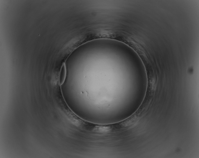 X0000093440665200710191042