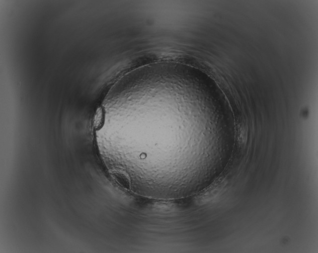 X0000093440666200710191042