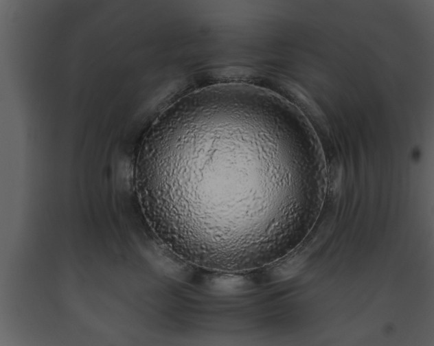 X0000093440669200710191042