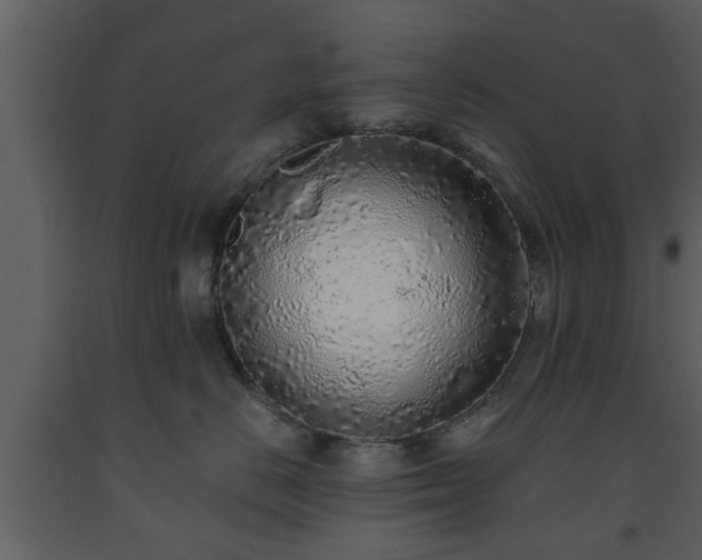 X0000093440670200710191042