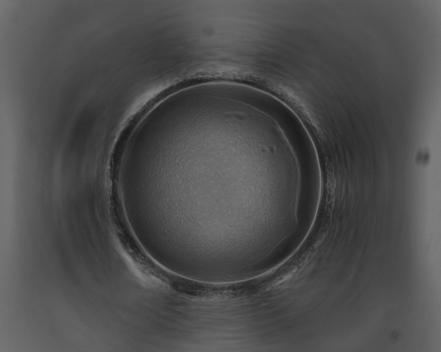 X0000093440674200710191041