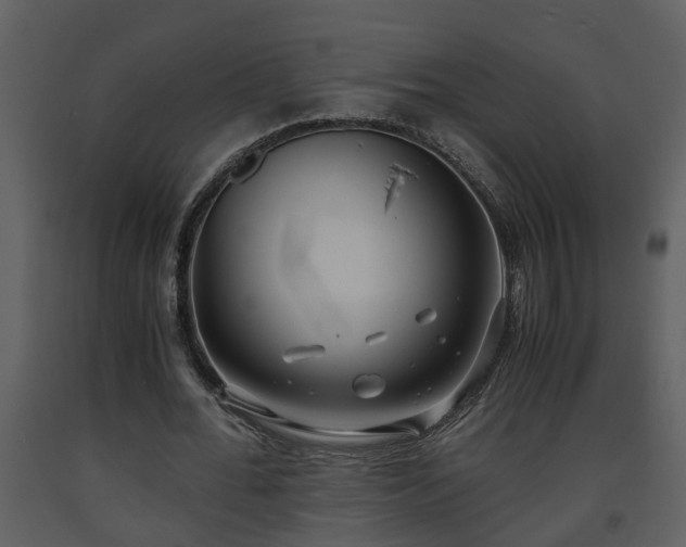 X0000093440676200710191041