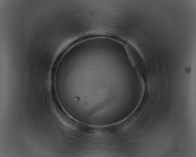 X0000093440678200710191041