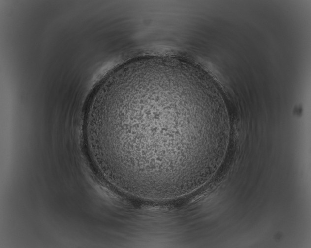 X0000093440679200710191041
