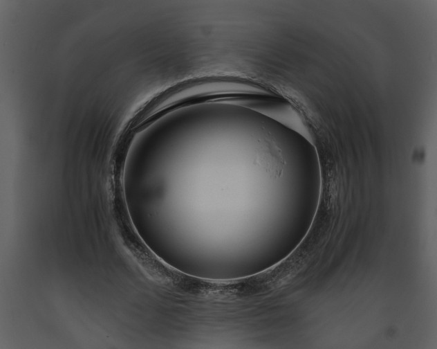 X0000093440680200710191041
