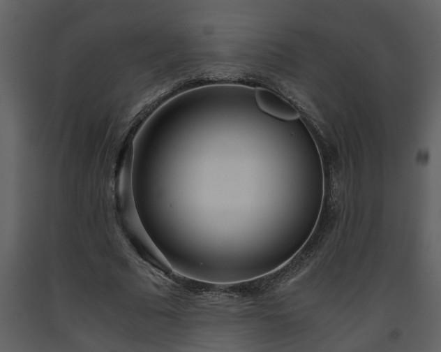X0000093440681200710191041