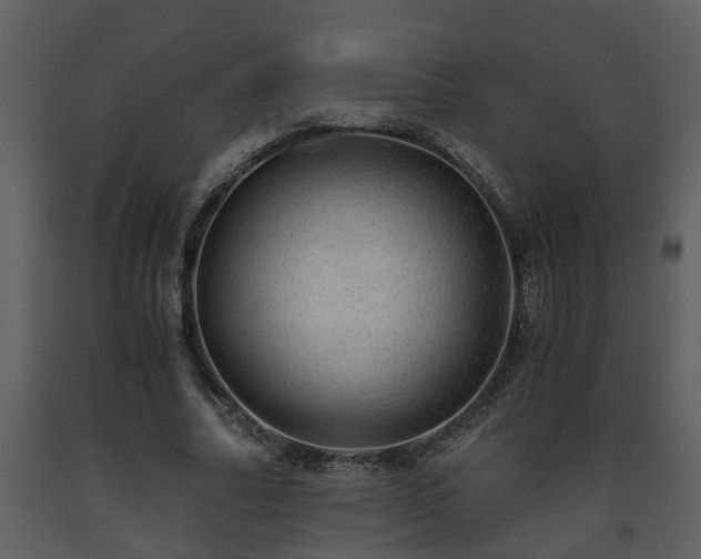 X0000093440682200710191041