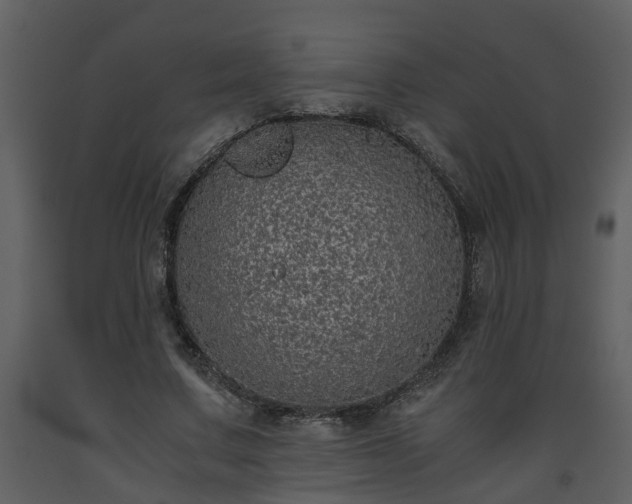 X0000093440683200710191041